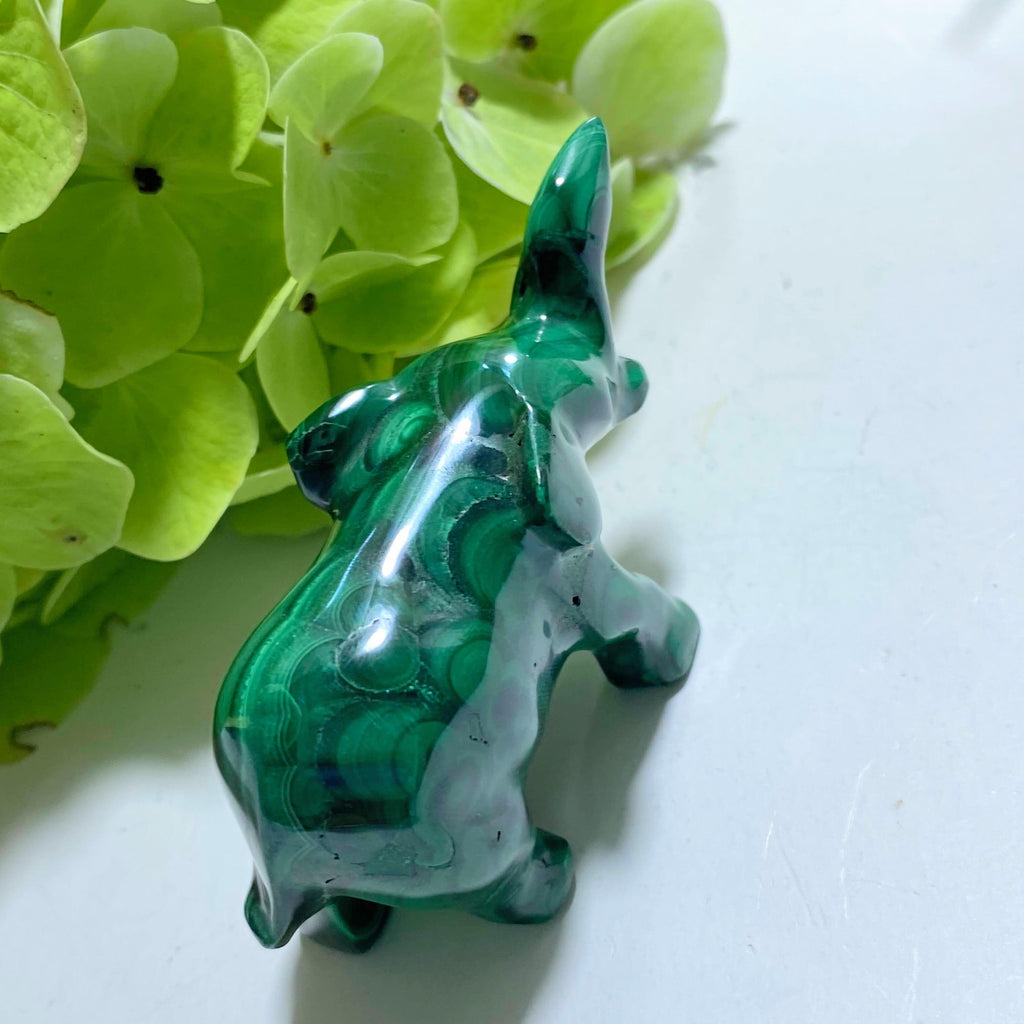Standing Malachite Elephant Display Carving #2 - Earth Family Crystals