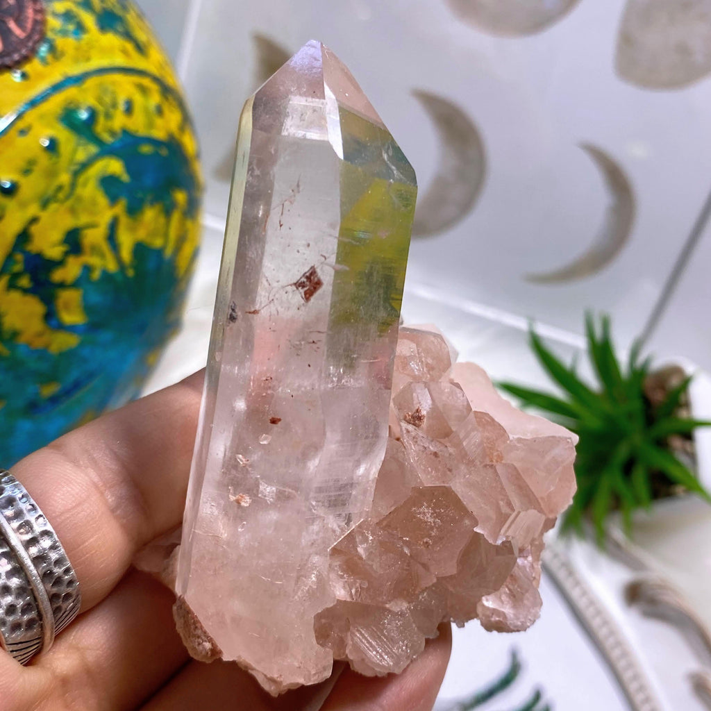 Rare~ Long Point Pink Samadhi Quartz Large Specimen ~Locality: The Himalayas - Earth Family Crystals