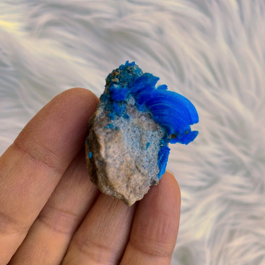 Rare! Electric Blue Chalcanthite From Planet Mine, Arizona - Earth Family Crystals