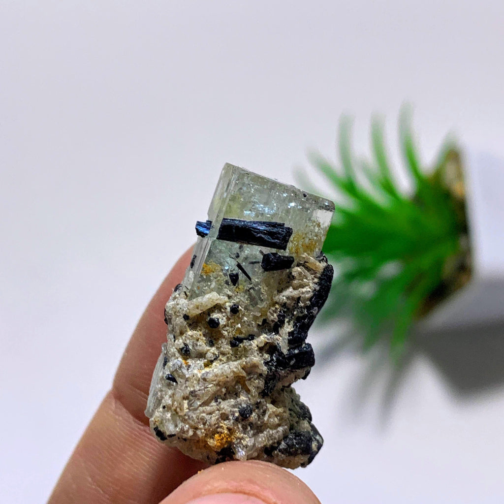 Natural Gemmy Blue Aquamarine With Black Tourmaline Inclusions From South Africa - Earth Family Crystals