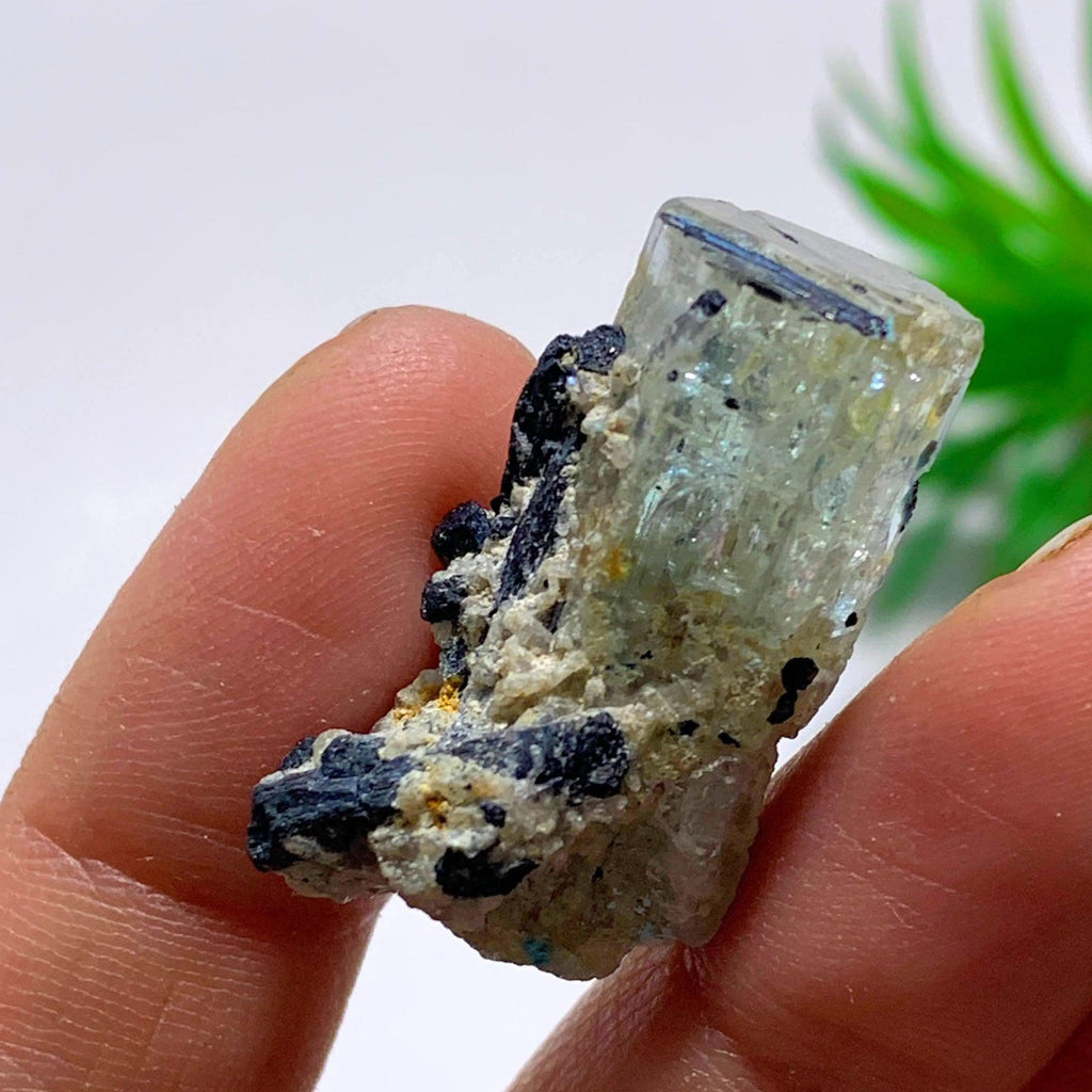 Natural Gemmy Blue Aquamarine With Black Tourmaline Inclusions From South Africa - Earth Family Crystals