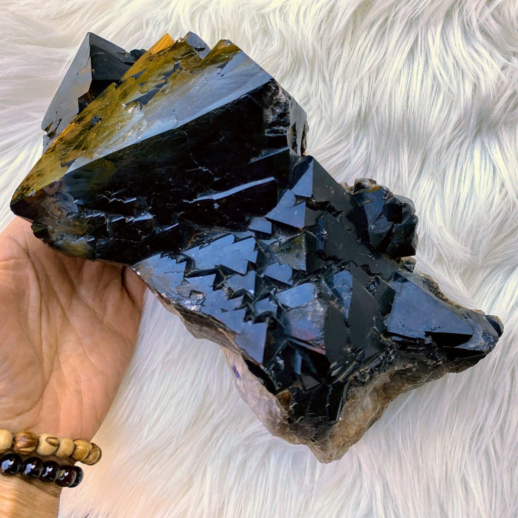 Incredible XXL 2.6kg Morion Smoky Quartz Display Cluster From Brazil - Earth Family Crystals