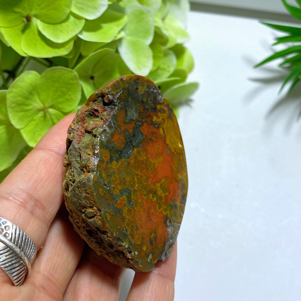 Australian Partially Polished Landscape Agate Specimen - Earth Family Crystals