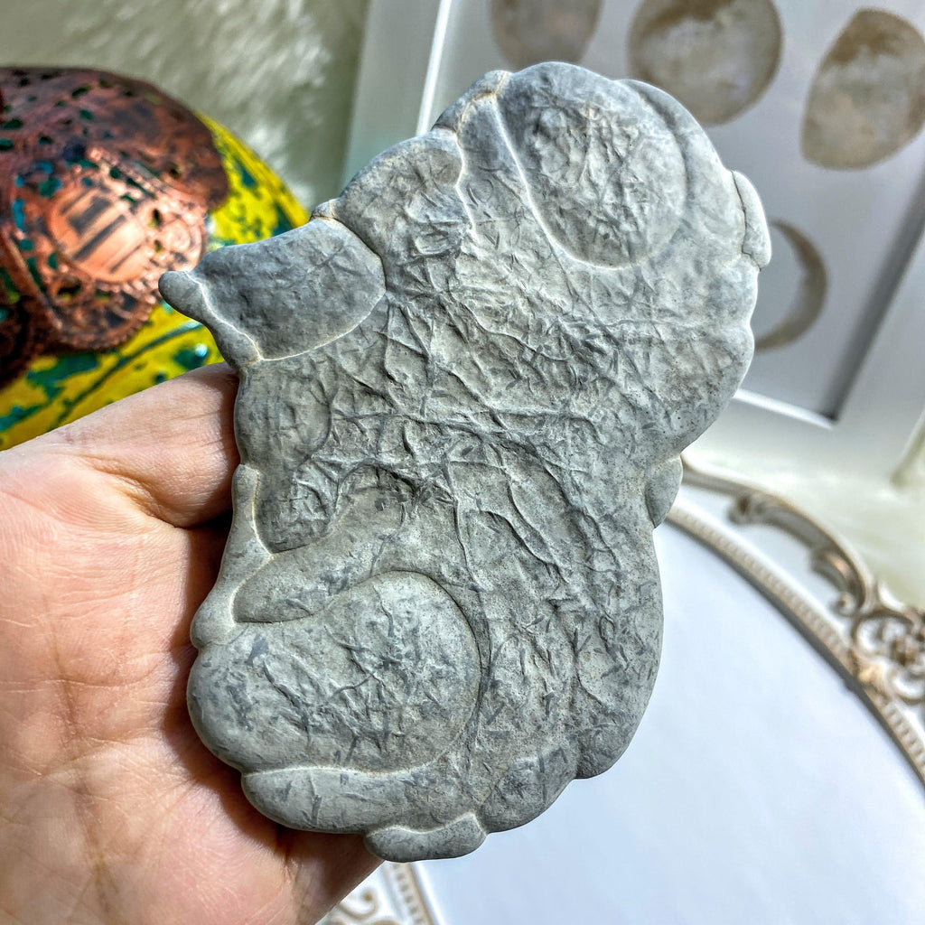 Unique Fairy Stone Concretion Large Natural Specimen ~Locality: Quebec Canada #10 - Earth Family Crystals