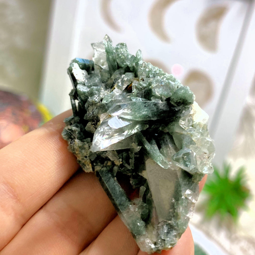 Rare ~Green Soul Healing Samadhi Himalayan Quartz Cluster - Earth Family Crystals