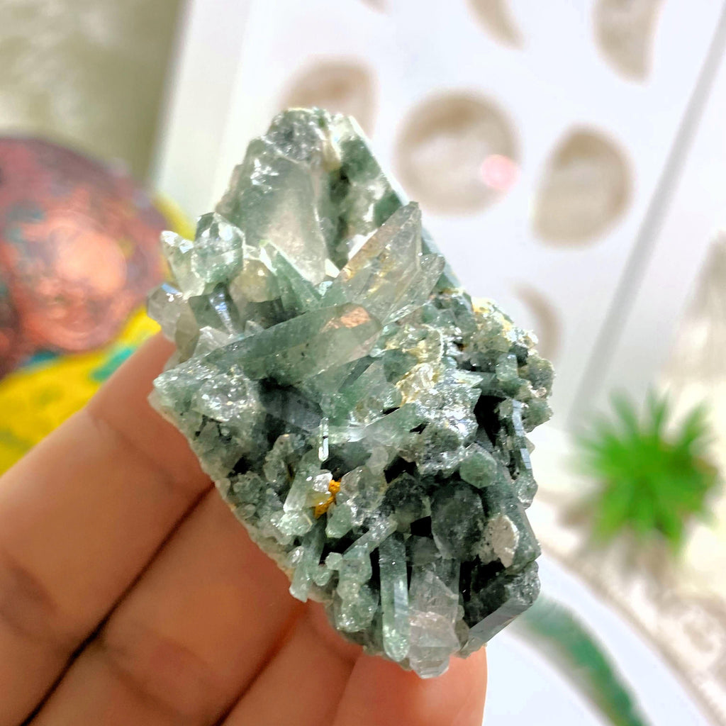 Rare ~Green Soul Healing Samadhi Himalayan Quartz Cluster - Earth Family Crystals