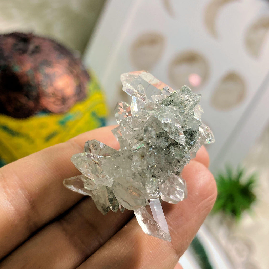 Rare ~Green Soul Healing Samadhi Himalayan Quartz Cluster #1 - Earth Family Crystals