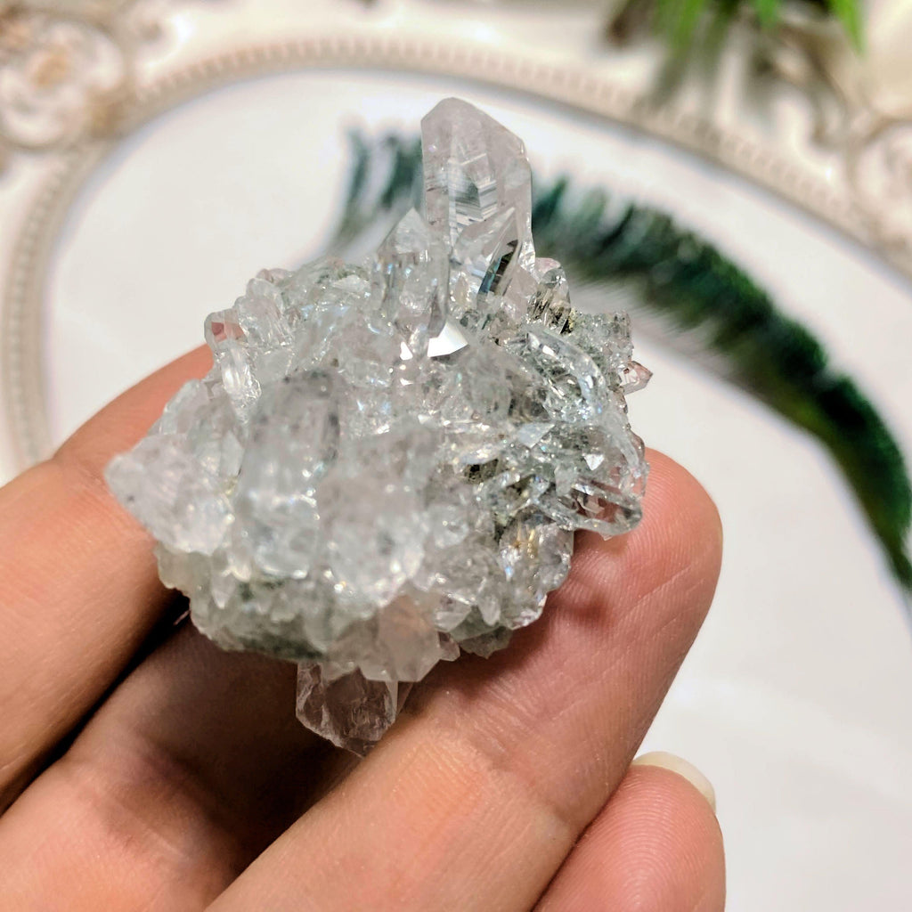 Rare ~Green Soul Healing Samadhi Himalayan Quartz Cluster #1 - Earth Family Crystals