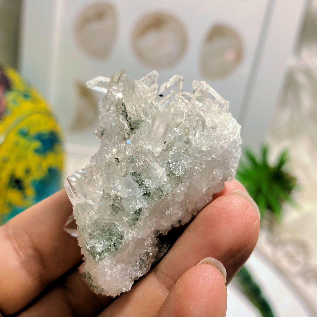 Rare ~Green Soul Healing Samadhi Himalayan Quartz Cluster #2 - Earth Family Crystals
