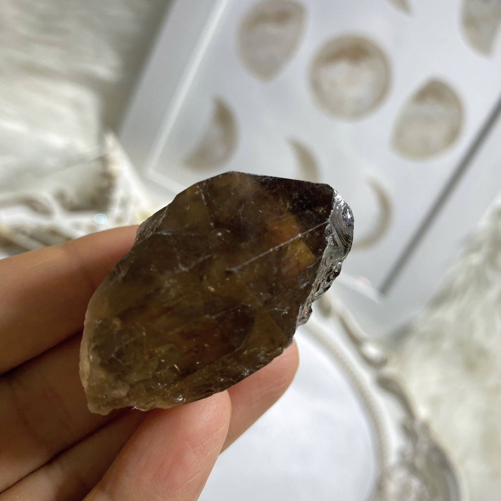 Citrine & Smoky Quartz Natural  Elestial Kundalini Point #2 - Earth Family Crystals