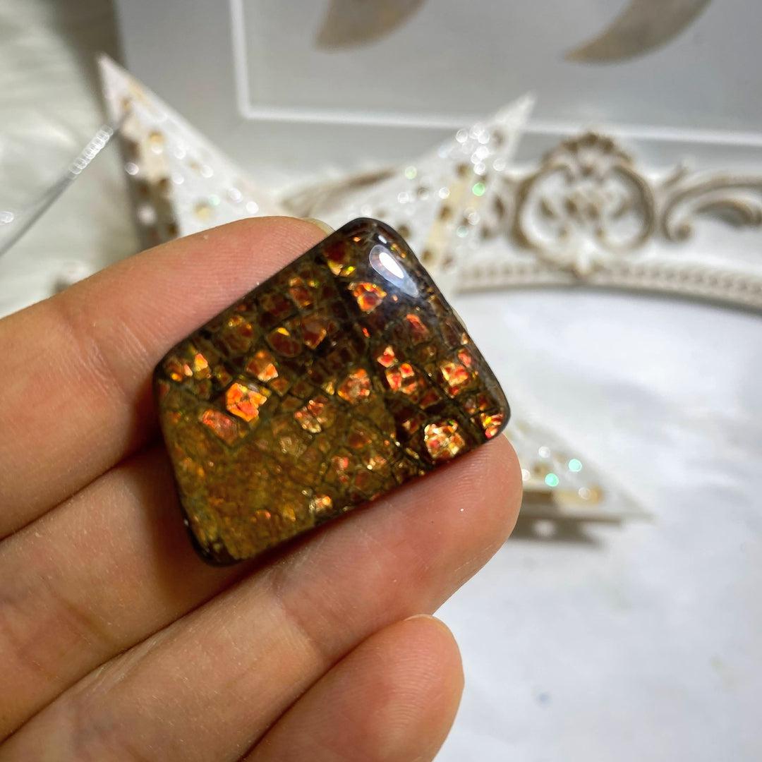 Genuine Alberta Ammolite Fossil Cabochon ~ Perfect for Crafting #6 - Earth Family Crystals