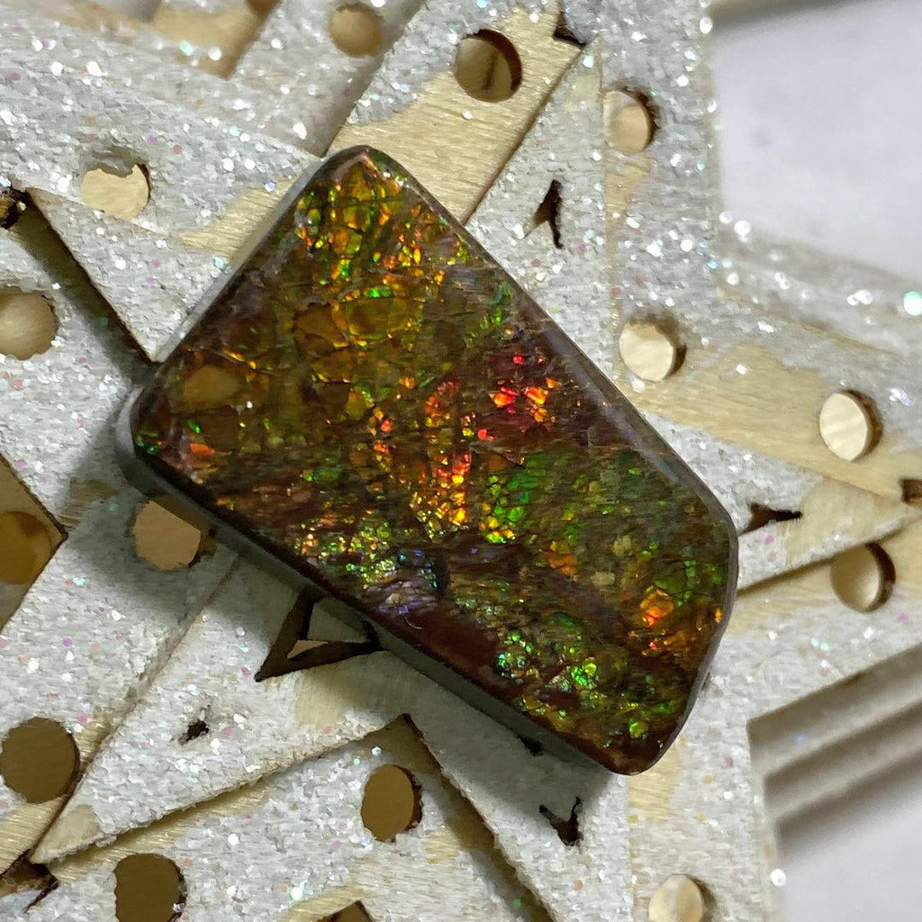Genuine Alberta Ammolite Fossil Cabochon ~ Perfect for Crafting #5 - Earth Family Crystals