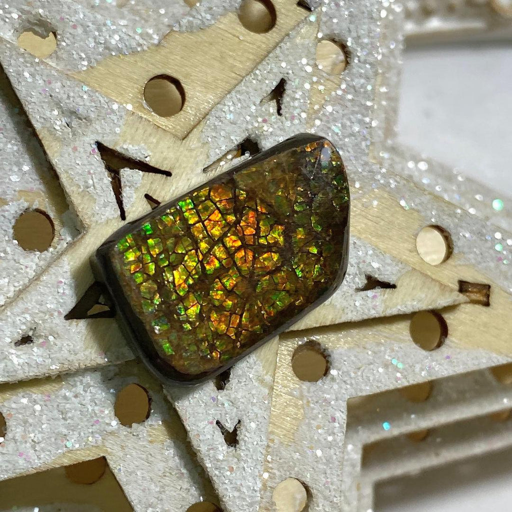 Genuine Alberta Ammolite Fossil Cabochon ~ Perfect for Crafting #3 - Earth Family Crystals