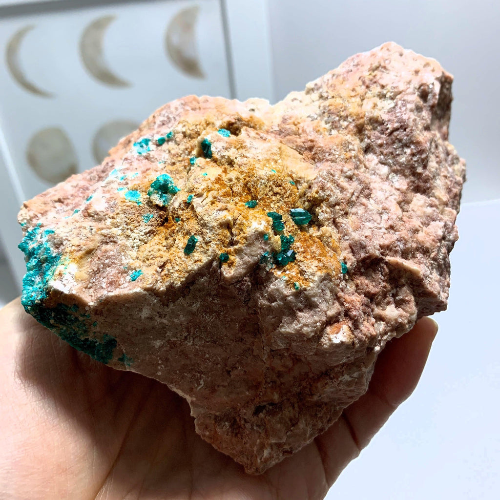 Dioptase Crystals Nestled in Chunky Rock Matrix~Locality Namibia - Earth Family Crystals