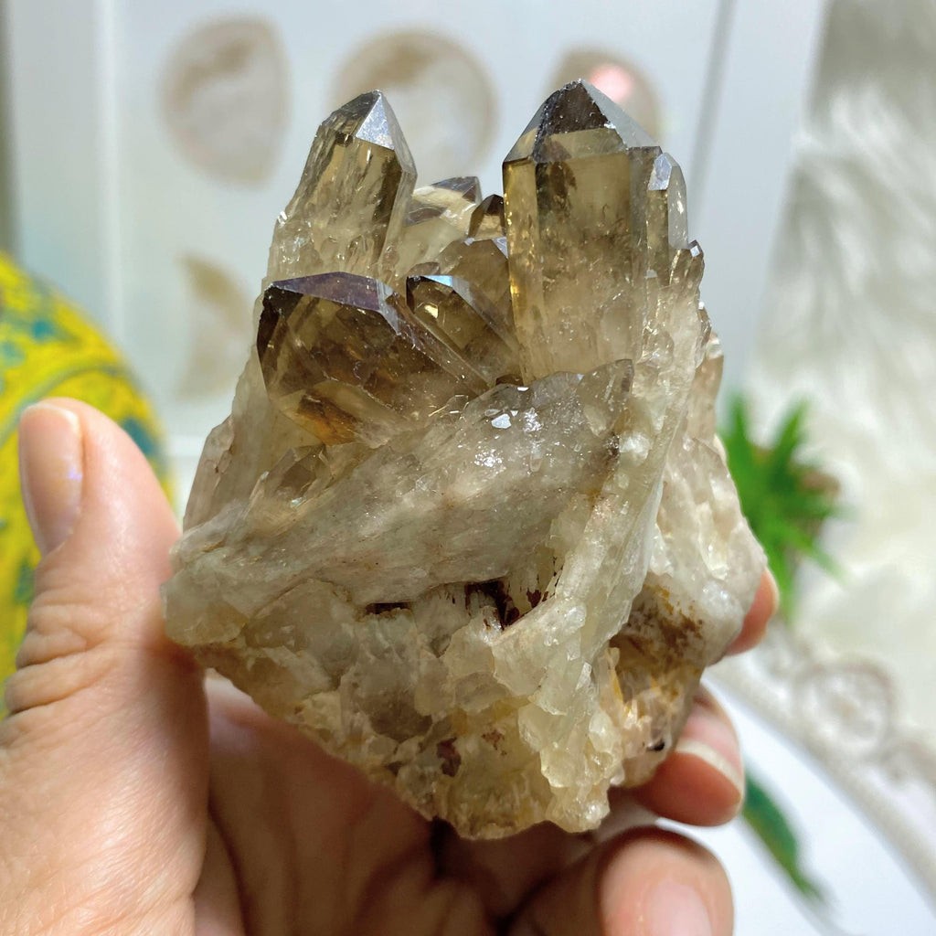 Natural Citrine Kundalini Elestial Phantom Cluster Specimen~Locality: Congo - Earth Family Crystals