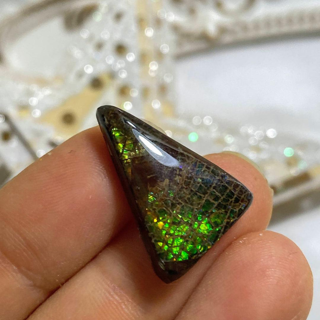 Blue/Green Flashes Genuine Alberta Ammolite Fossil Cabochon ~ Perfect for Crafting #2 - Earth Family Crystals