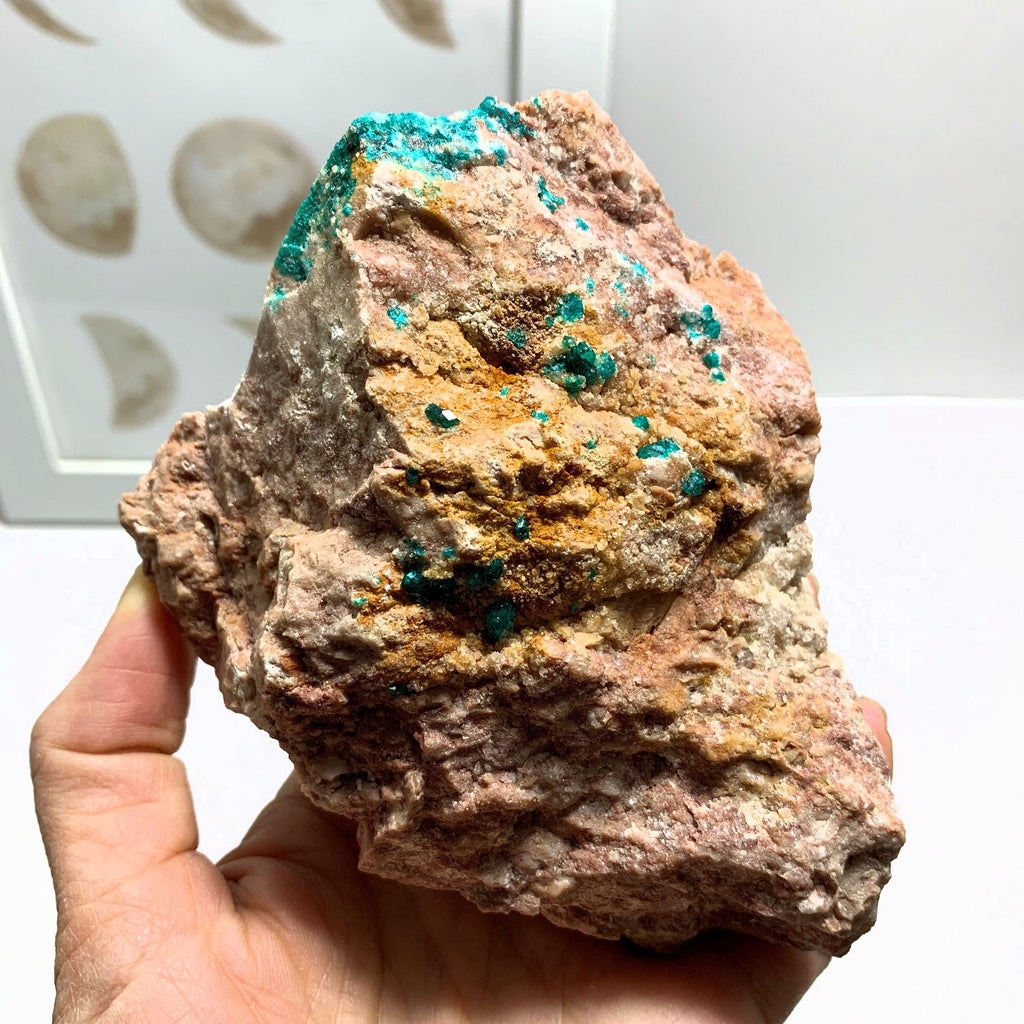 Dioptase Crystals Nestled in Chunky Rock Matrix~Locality Namibia - Earth Family Crystals