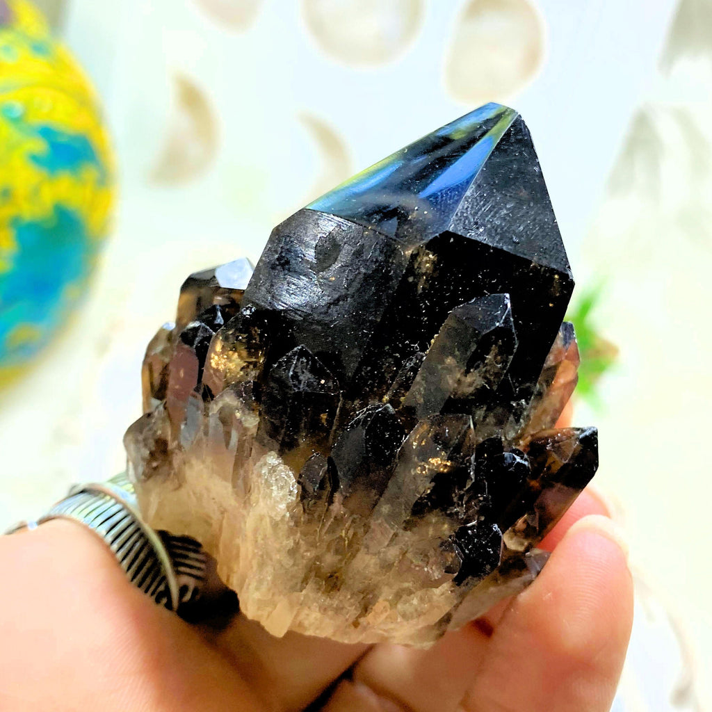 Deep Natural Smoky Quartz With Citrine Inclusions Elestial Kundalini Standing Cluster - Earth Family Crystals