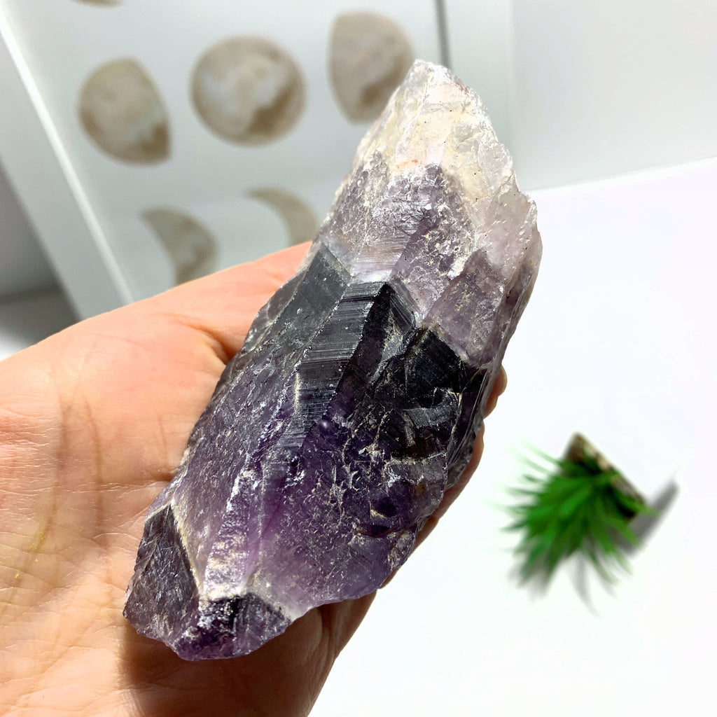 Auralite-23 Deep Purple Genuine Point From Ontario, Canada - Earth Family Crystals