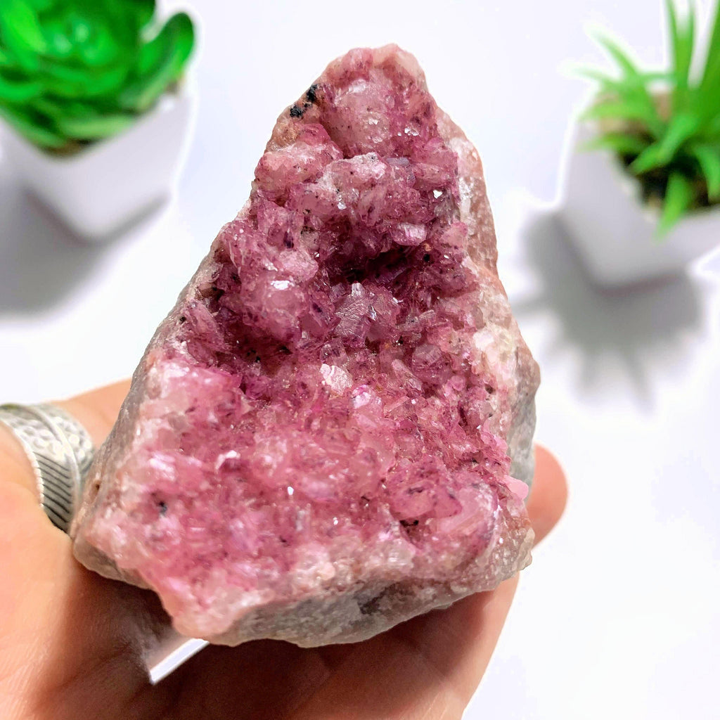 Lovely Natural Druzy Cobaltine Pink Calcite Specimen - Earth Family Crystals