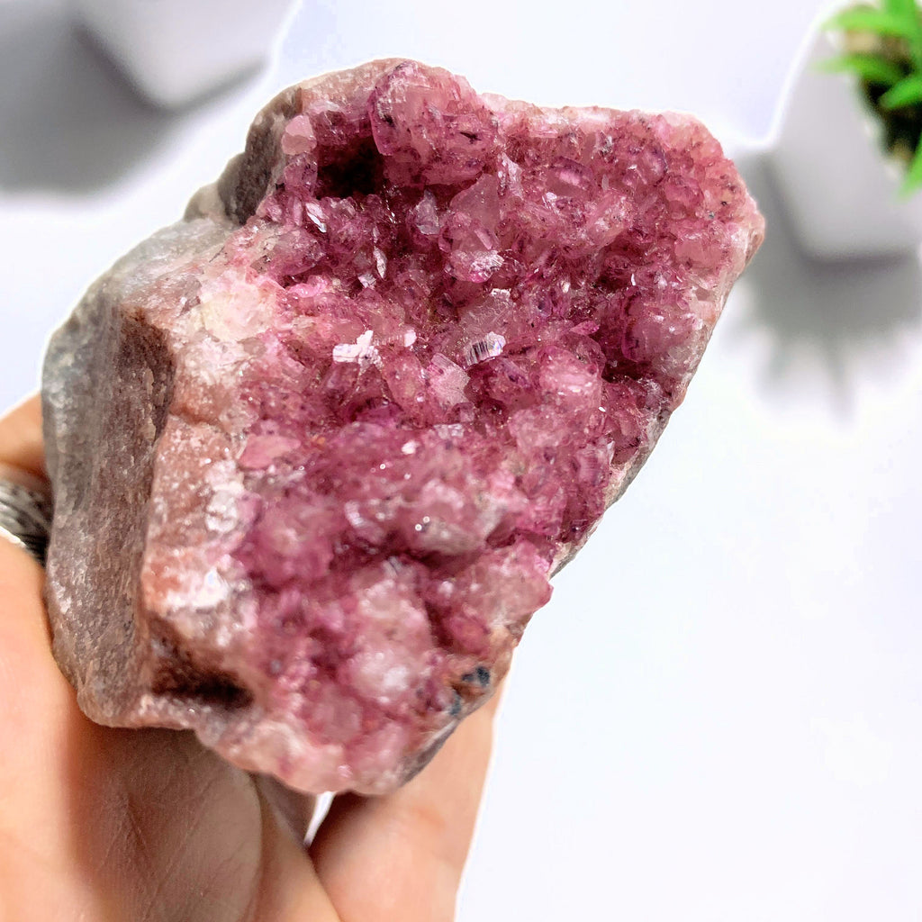 Lovely Natural Druzy Cobaltine Pink Calcite Specimen - Earth Family Crystals