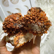 Gorgeous XXL Sparkling Orange Creedite Specimen with Aqua Blue/Green Fluorite Inclusions -Locality Mexico - Earth Family Crystals