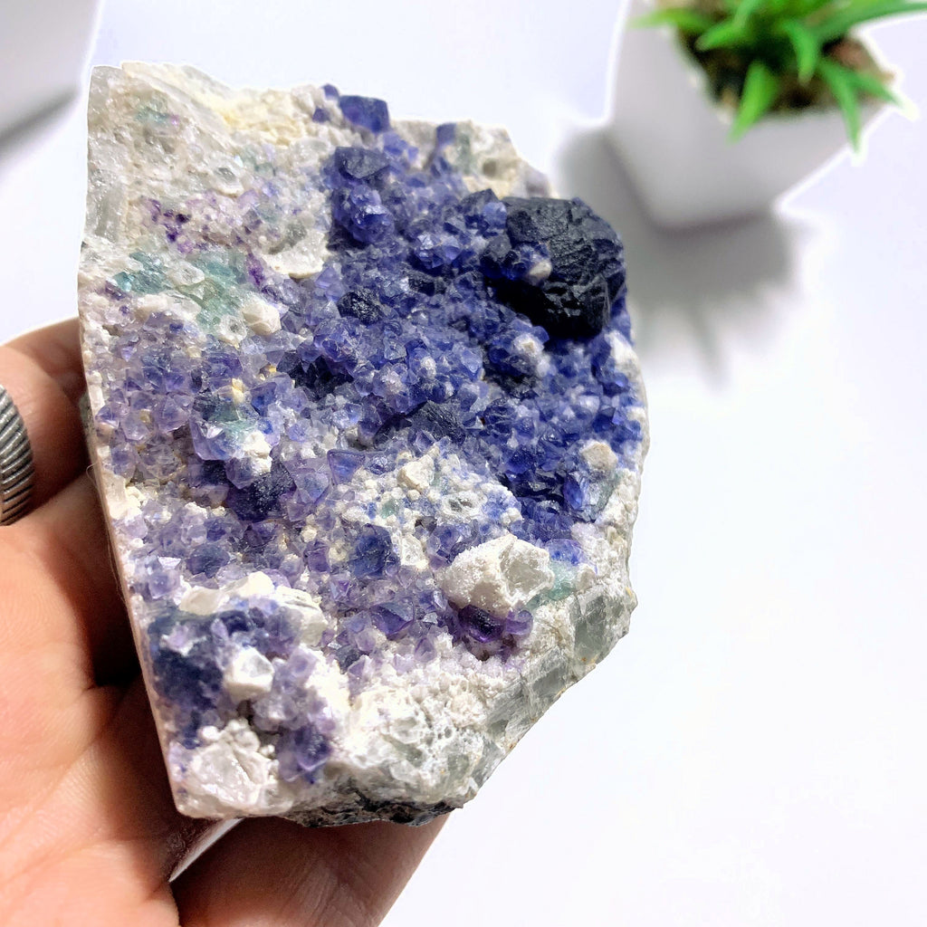 Rare & Unusual Deep Blue Fluorite Crystals on Matrix - Earth Family Crystals