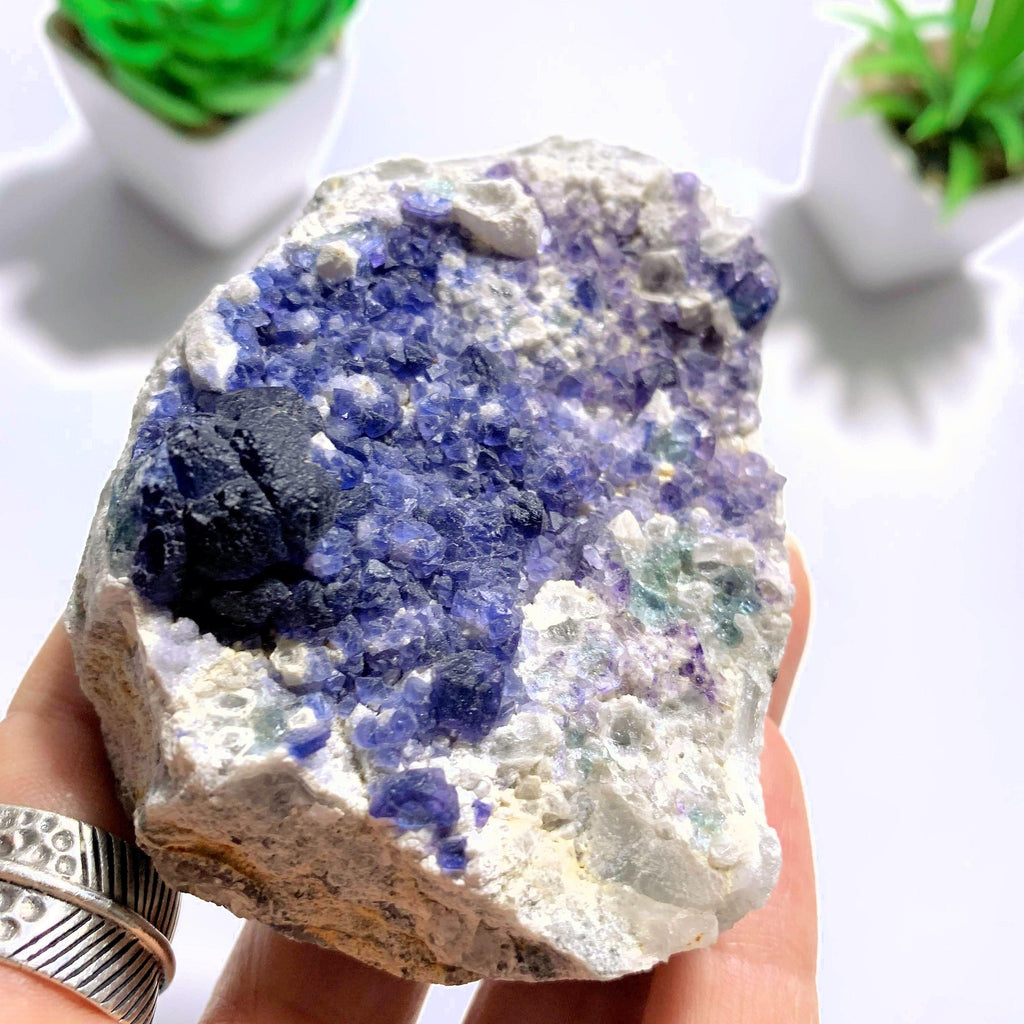 Rare & Unusual Deep Blue Fluorite Crystals on Matrix - Earth Family Crystals