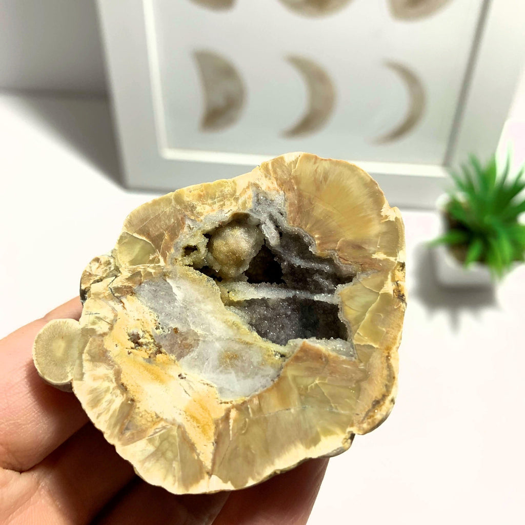 Australian Agate Druzy Geode Partially Polished Specimen - Earth Family Crystals