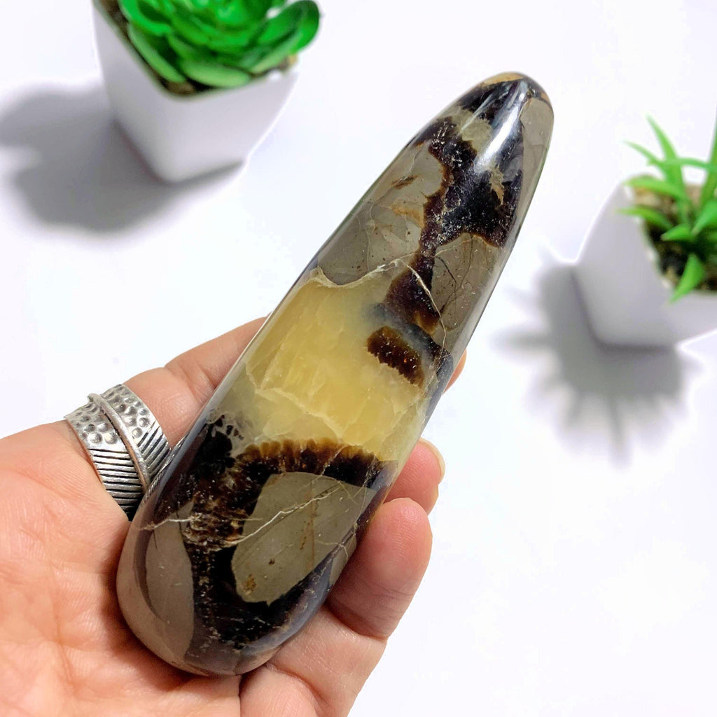 Septarian Polished Wand Specimen From Madagascar - Earth Family Crystals