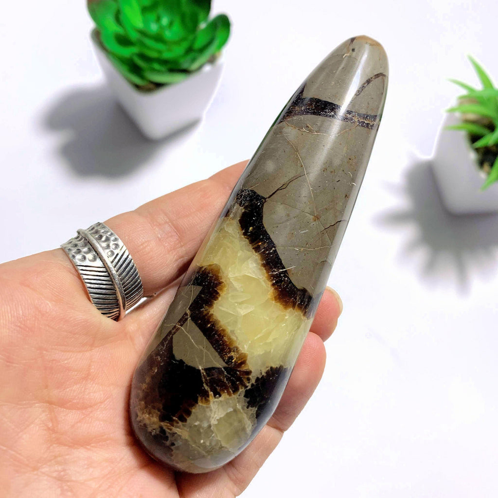 Septarian Polished Wand Specimen From Madagascar - Earth Family Crystals