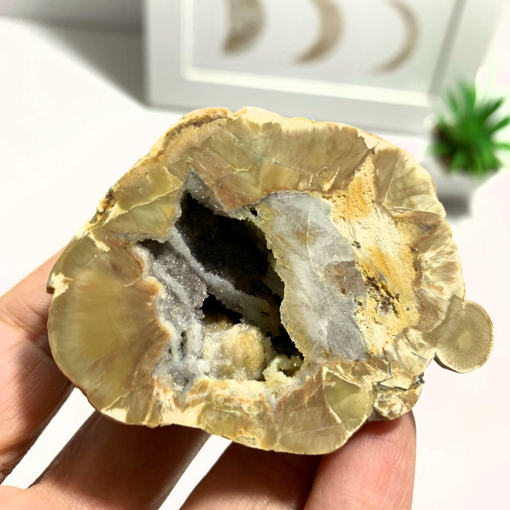 Australian Agate Druzy Geode Partially Polished Specimen - Earth Family Crystals