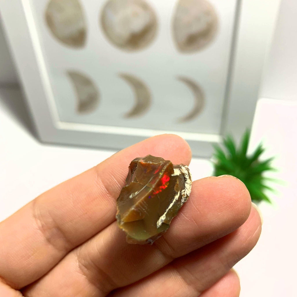 Chocolate Brown Ethiopian Opal Raw Specimen - Earth Family Crystals