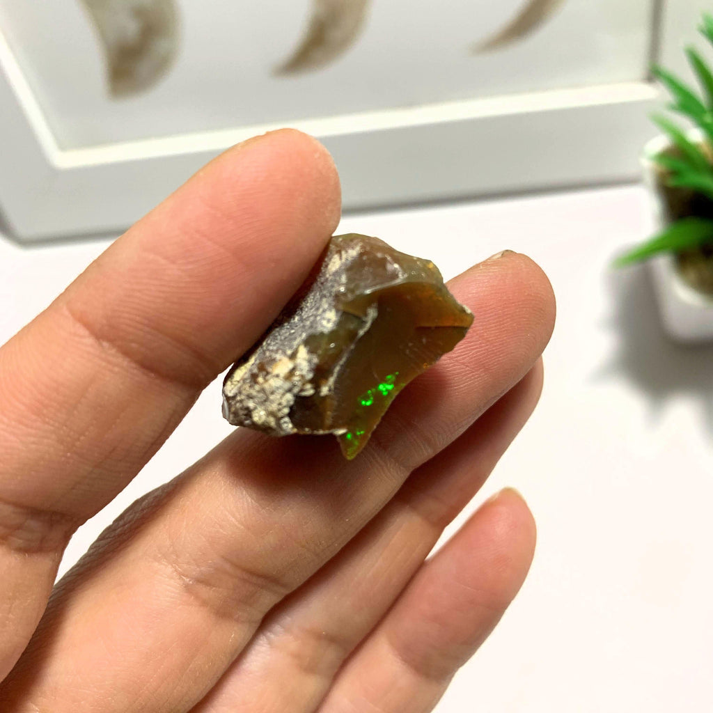 Chocolate Brown Ethiopian Opal Raw Specimen - Earth Family Crystals