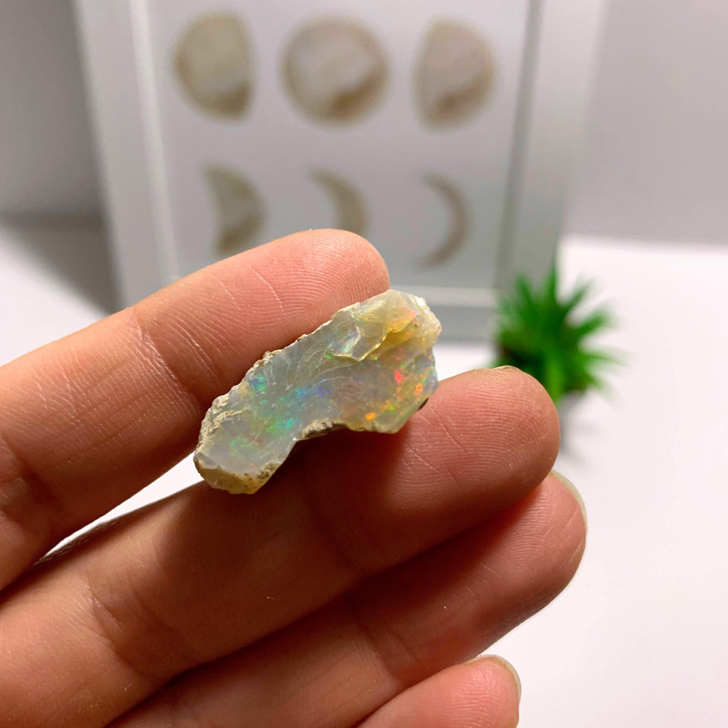 Beautiful Rainbow Sparkle Ethiopian Opal Raw Specimen - Earth Family Crystals