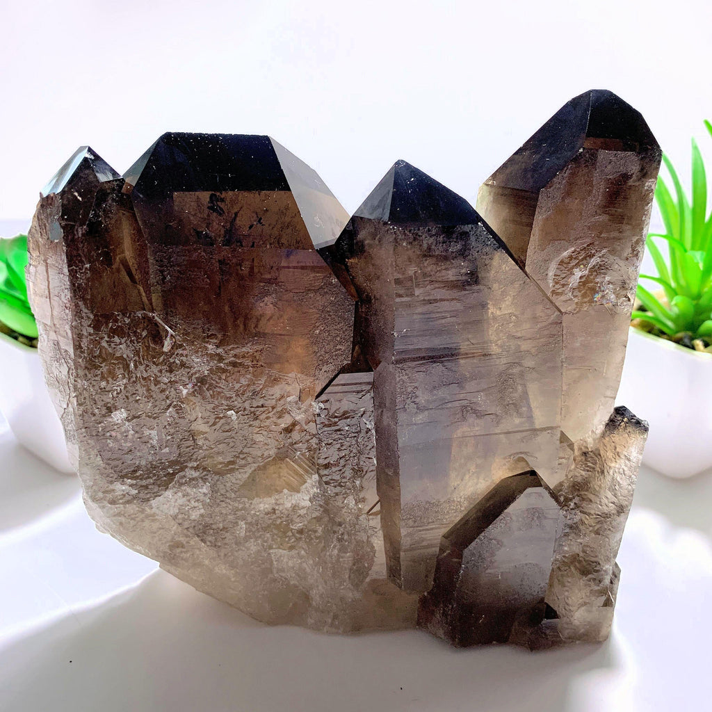 Incredible XL Dark Elestial Smoky Quartz Self Standing Specimen~Locality Brazil - Earth Family Crystals