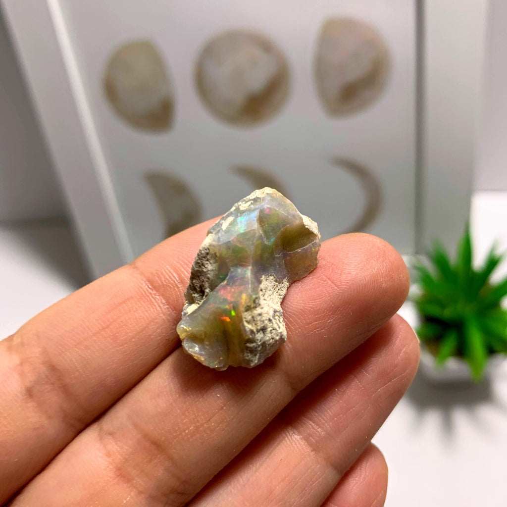 Beautiful Rainbow Sparkle Ethiopian Opal Raw Specimen - Earth Family Crystals