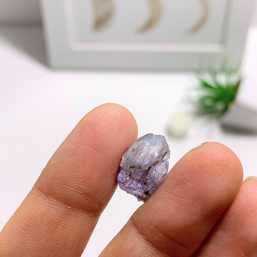 8CT Terminated Gemmy Natural Tanzanite Specimen in Collectors Box - Earth Family Crystals