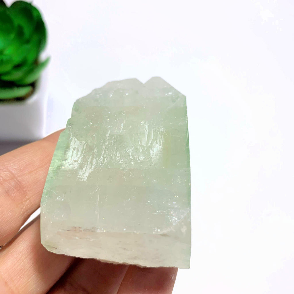 Brilliant Mint Green & Clear Apophyllite Specimen ~Locality India - Earth Family Crystals