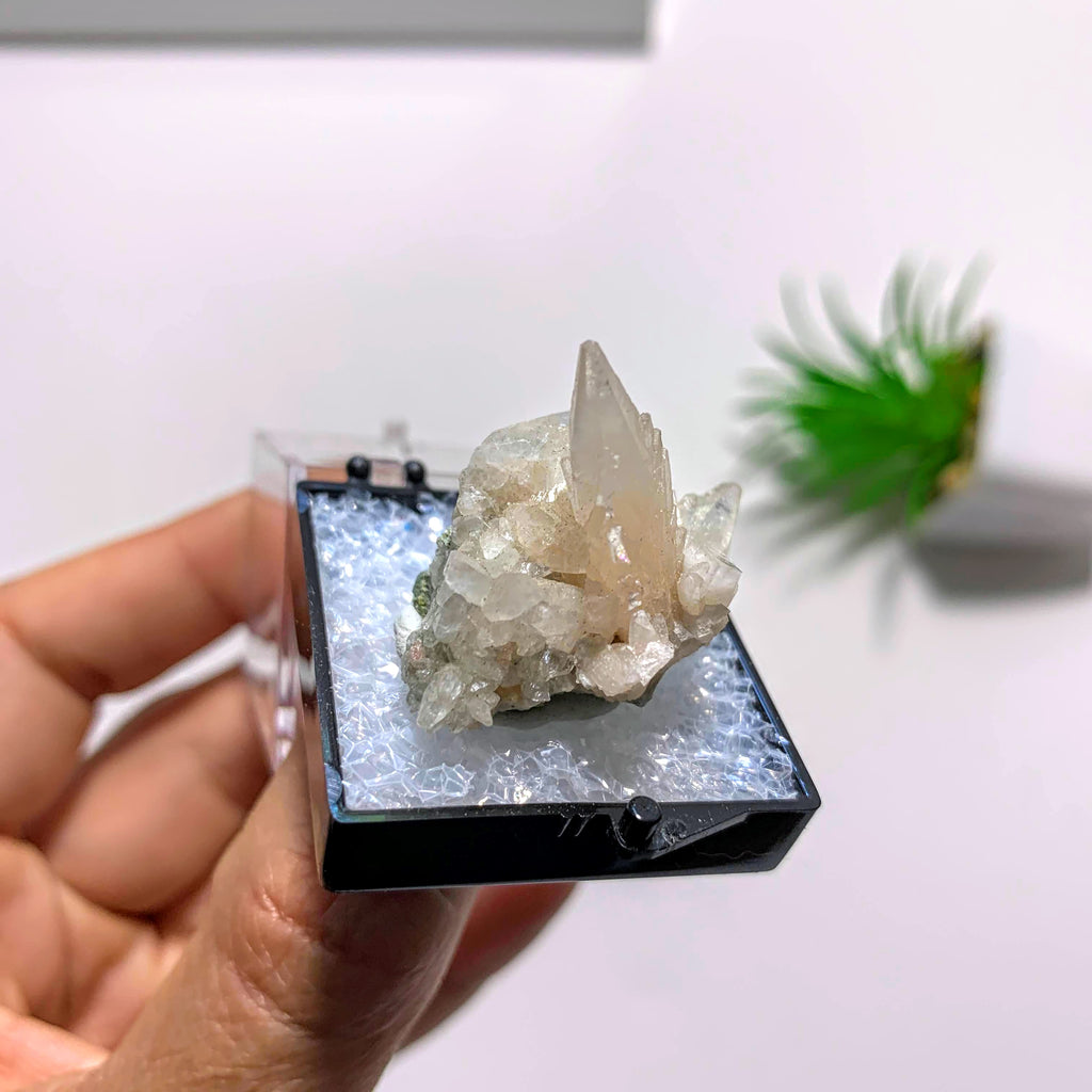 Stellar Beam Calcite Display Specimen in Collectors Box~Locality  Moncure. NC - Earth Family Crystals
