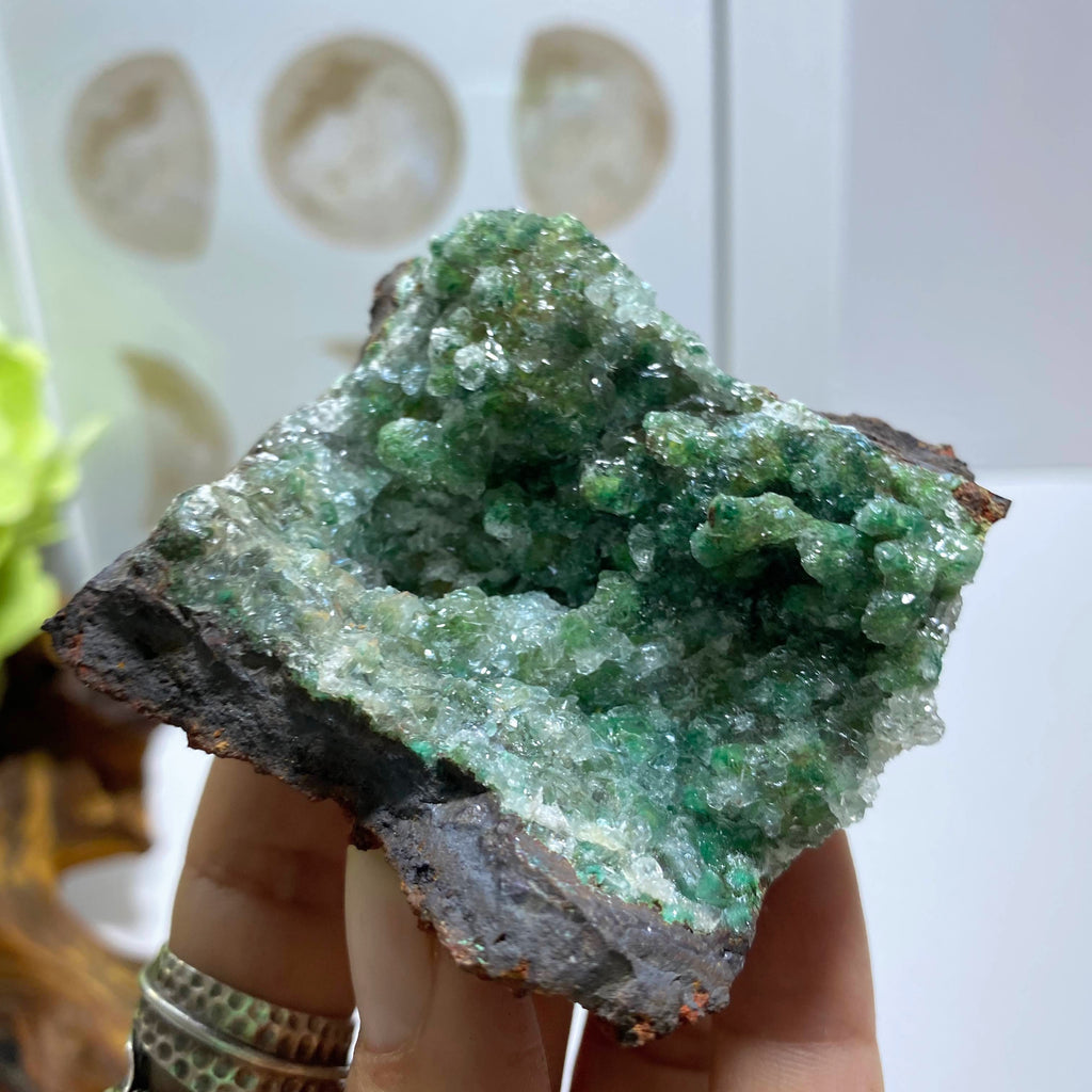 Unusual Green Mimetite Covered Clear Calcite Collectors Specimen~From Mexico - Earth Family Crystals