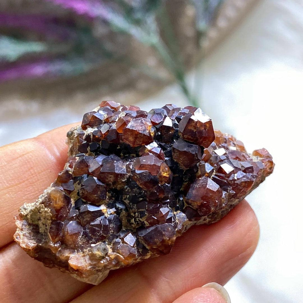 Deep Burgundy Grossular Garnet Collectors Specimen~Locality: Washington, USA - Earth Family Crystals