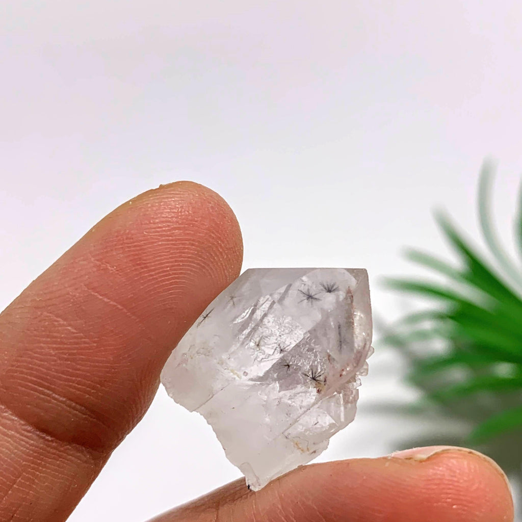 Star Hollandite Rare Dainty Collectors Specimen From Madagascar #1 - Earth Family Crystals