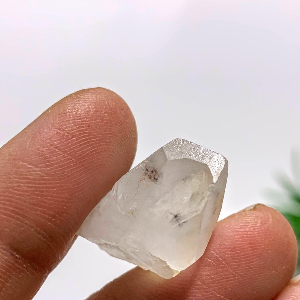 Star Hollandite Rare Dainty Collectors Specimen From Madagascar #2 - Earth Family Crystals