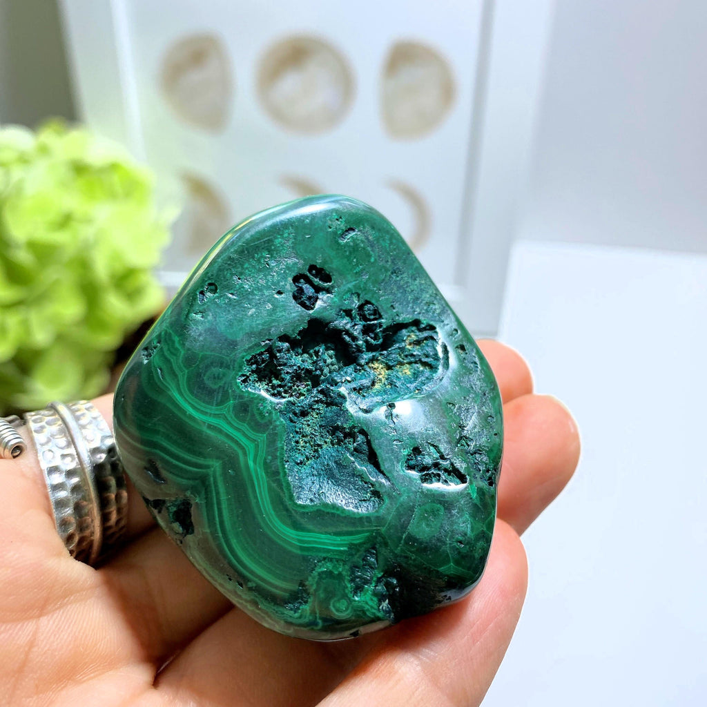 Malachite Partially Polished Hand Held Specimen ~Locality Congo - Earth Family Crystals