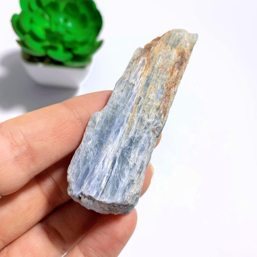High Shine Natural Light Blue Kyanite From Brazil #2 - Earth Family Crystals