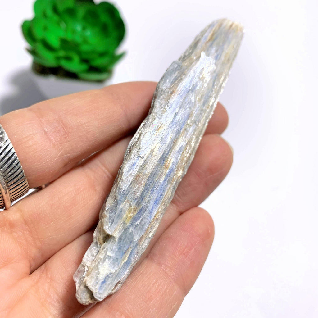 High Shine Natural Light Blue Kyanite From Brazil #3 - Earth Family Crystals