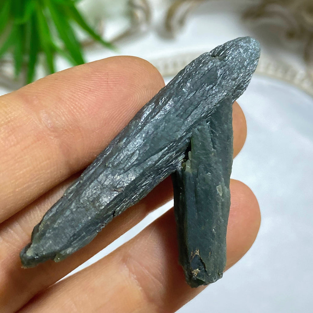 Very Rare Old Collection Item~ Seriphos Green Quartz Intricate Double Point ~Locality: Serifos, Greece - Earth Family Crystals