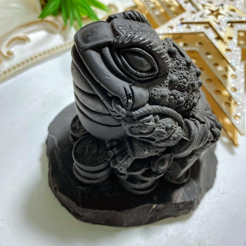 Reserved for Sandy EMF Protection! Large Shungite Money Frog  Display Specimen (REDUCED) - Earth Family Crystals