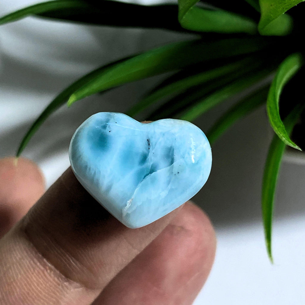 Cute Blue Larimar Dainty Heart Carving~ Locality: Dominican Republic #1 - Earth Family Crystals